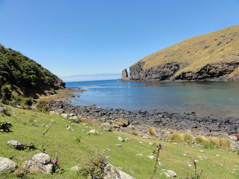 DSC00505
